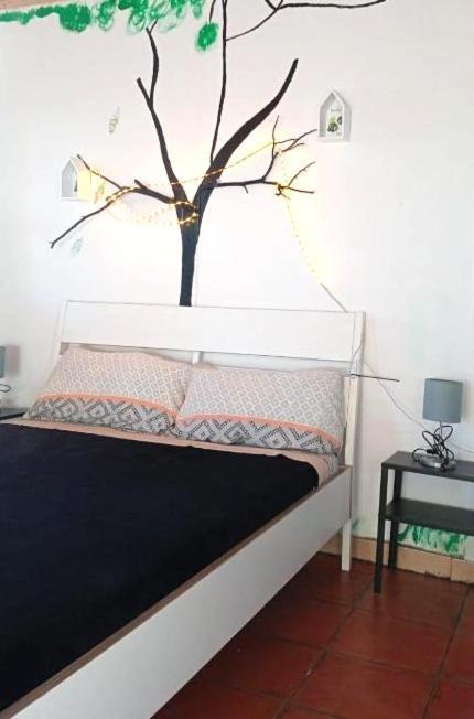 B&B Amigos De La Naturaleza Las Manchas  Room photo